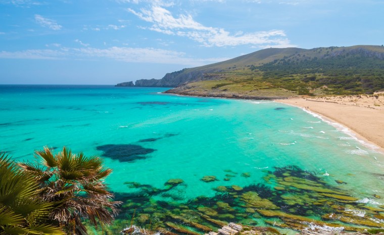 Nouvelle construction - Maison mitoyenne - Arta