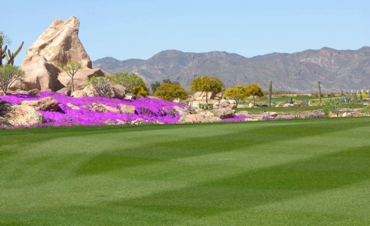 Ocasión - Villa - Cuevas del Almanzora - Villaricos