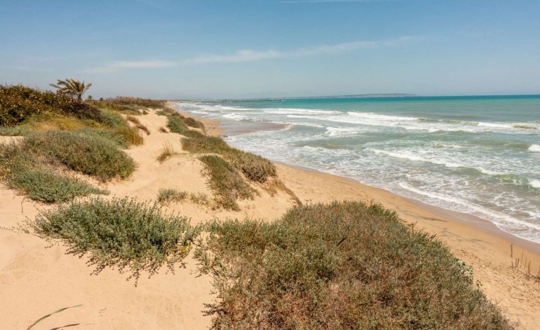 Nowa konstrukcja - Apartament - Guardamar del Segura